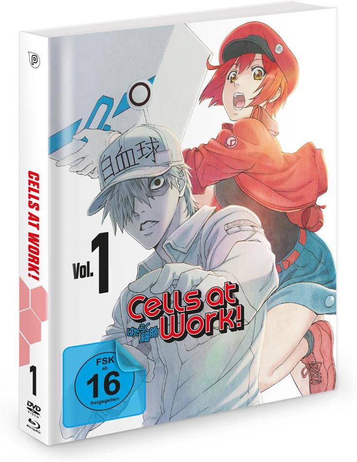 Cells at Work! - Vol. 1 Blu-ray + DVD