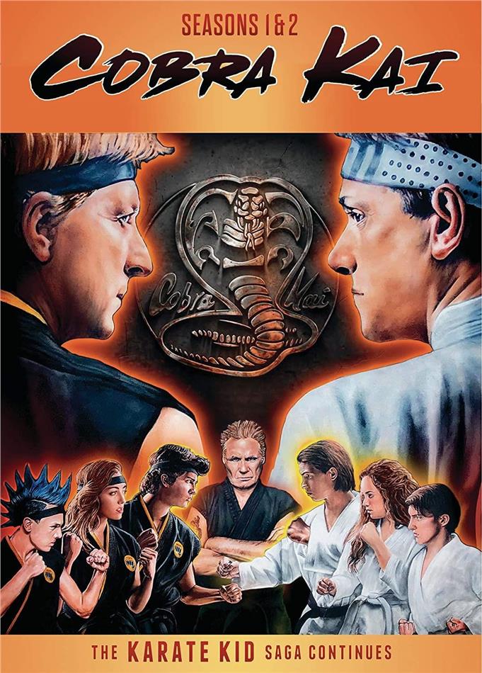 Cobra Kai - Seasons 1-2 4 DVDs