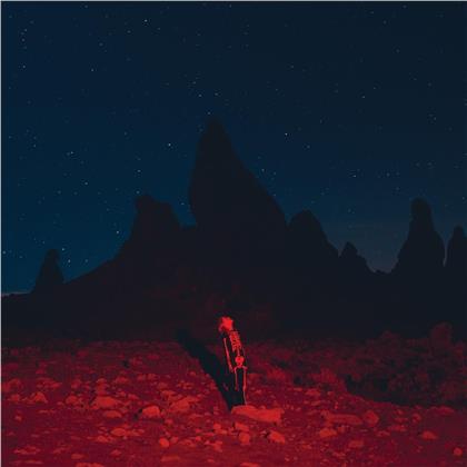 Phoebe Bridgers - Punisher (Limited Edition, Seaglass Wave Vinyl, LP)