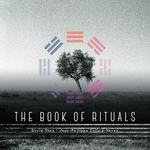 David Shea & Jean-Philippe Collard-Neven - Books Or Rituals