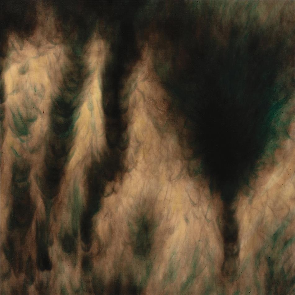 William Basinski - Lamentations 2 LPs