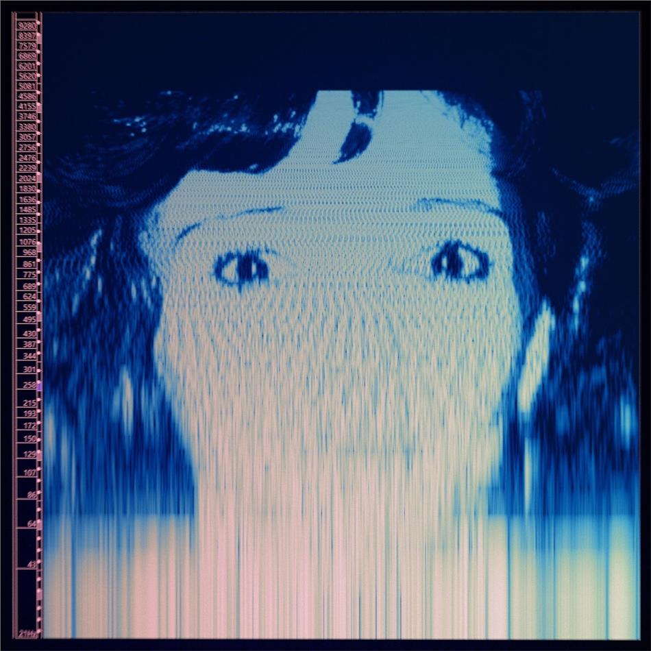 Avalanches - We Will Always Love You 2 LPs