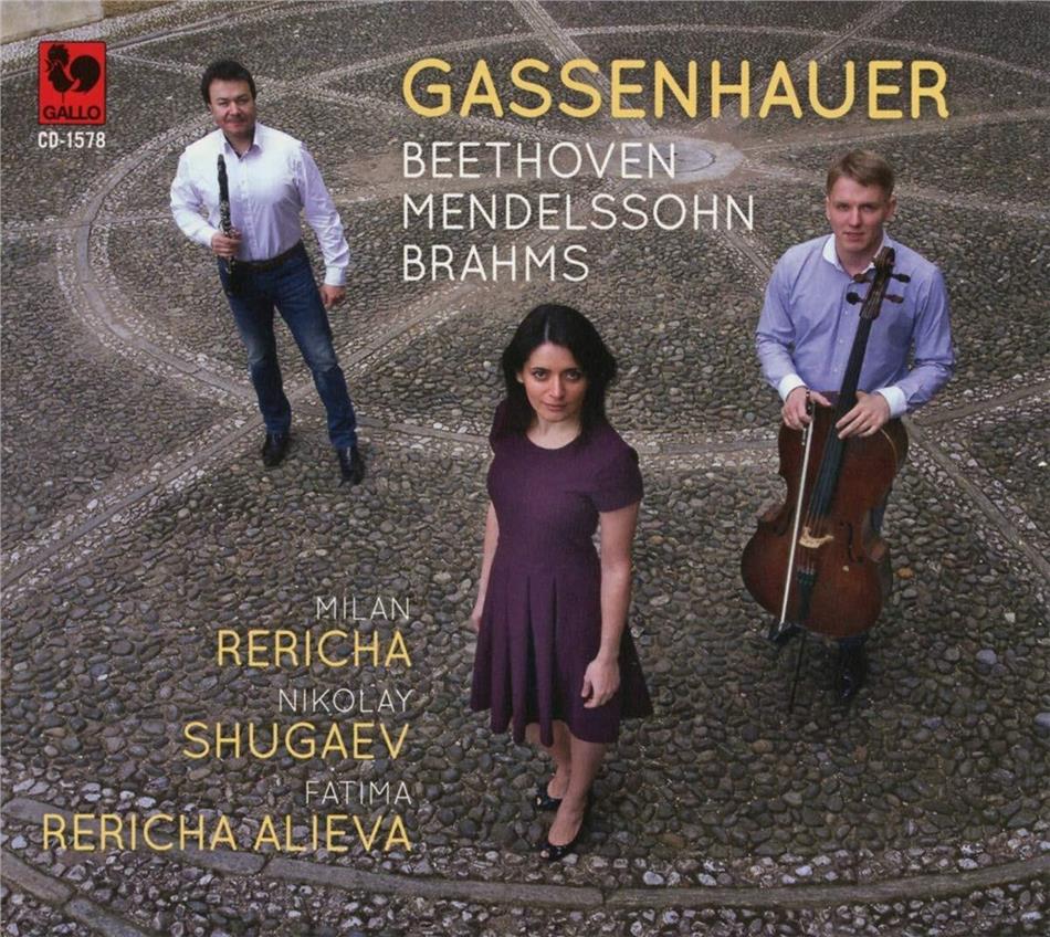Milan Rericha, Niloay Shugaev & Fatima Rericha Alieva - Gassenhauer