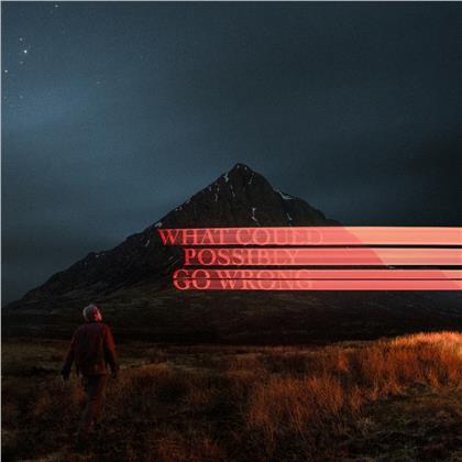 Dominic Fike - What Could Possibly Go Wrong - 13.11.2020