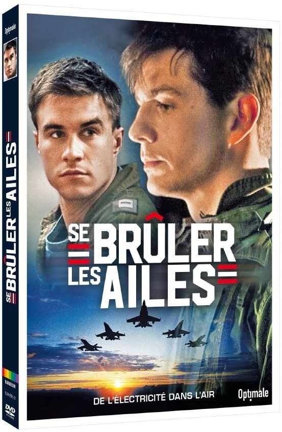 Se brûler les ailes (2013)