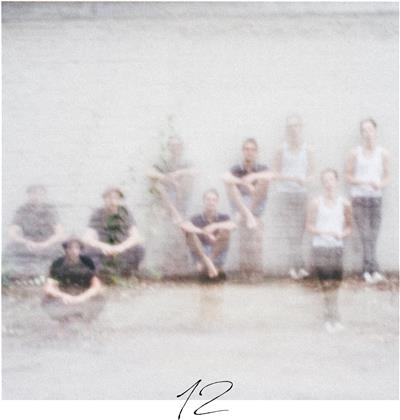 Annenmaykantereit - 12 (LP)