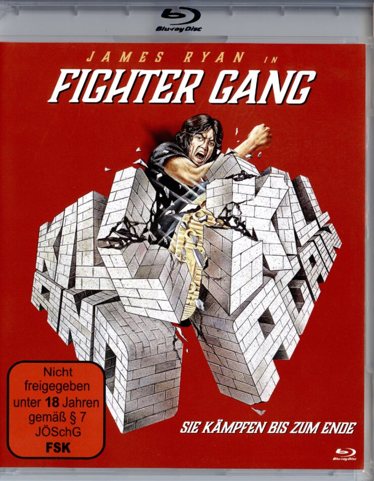 Fighter Gang - Sie kämpfen bis zum Ende (1981) Cover B