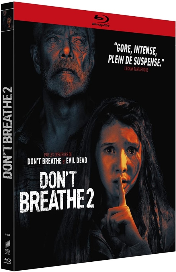 Don't Breathe 2 (2021)