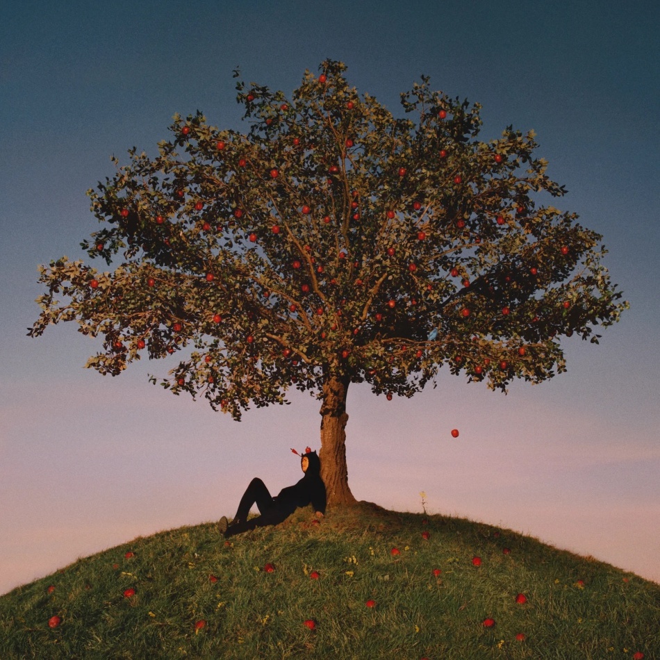 Slowthai - Tyron Limited Edition, LP