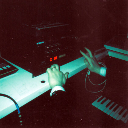 Niagara - Parva Naturalia (LP)