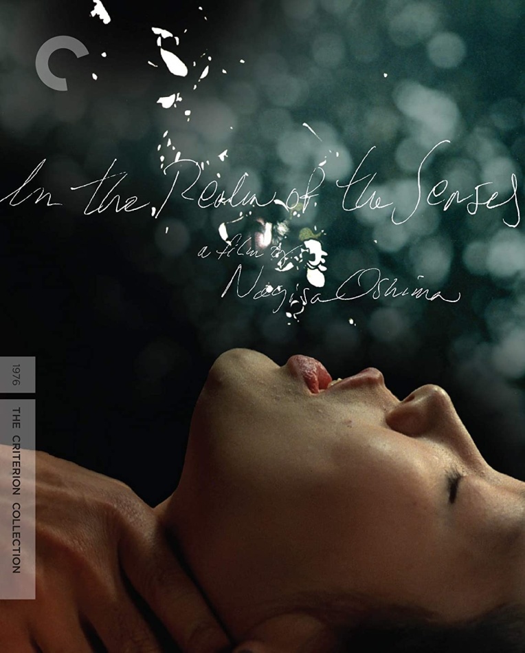 In The Realm Of The Senses (1976) Criterion Collection