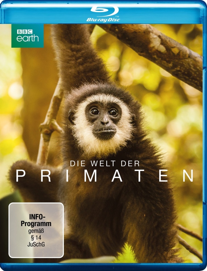Die Welt der Primaten BBC Earth