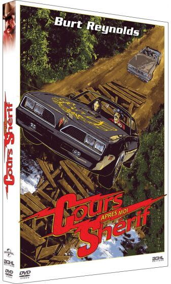 Cours après moi, shérif ! (1977)