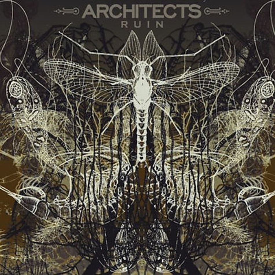 Architects (Metalcore) - Ruin 2022 Reissue, Napalm Records, LP