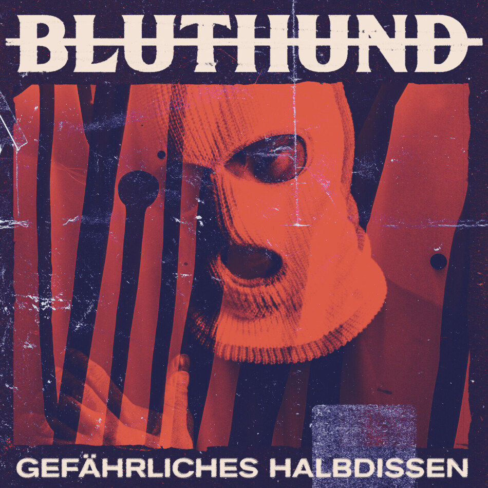 Bluthund - Gefährliches Halbdissen