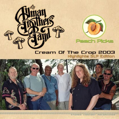 Allman Brothers Band - Cream Of The Crop 2003: Highlights (RSD 2022, Gold, Silver & Bronze Vinyl, 3 LPs)