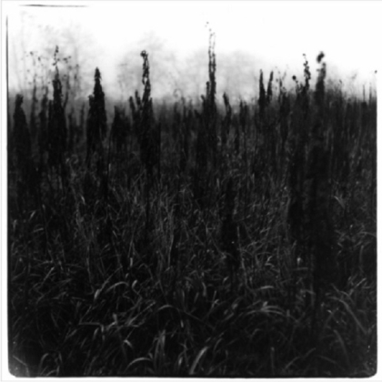 David Bennett & Vilhelm Bromanders - Within Reach Of Eventuality