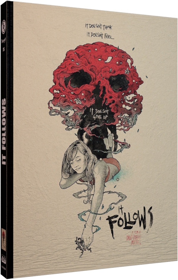 It Follows (2014) Cover D, Édition Limitée, Mediabook, Blu-ray + DVD