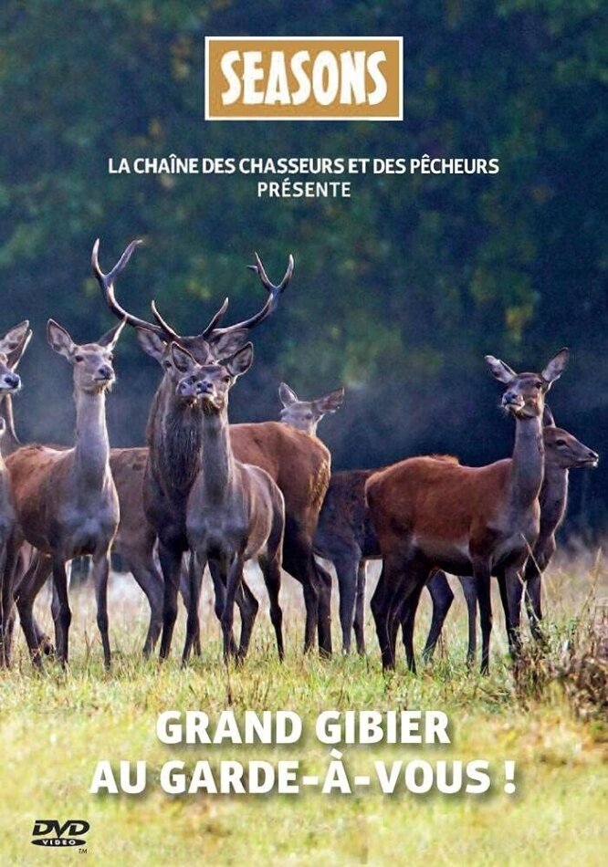 Grand gibier au garde à vous !