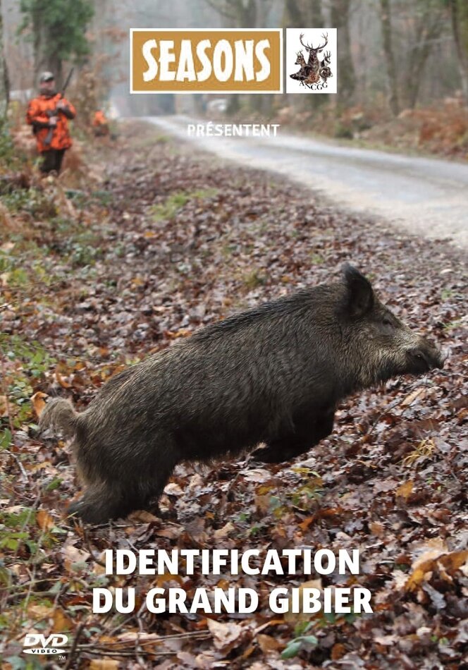 Identification du grand gibier