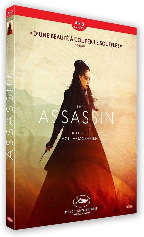 The Assassin (2015)