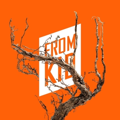 From Kid - Let The World Be A Good Place (Gatefold, LP)