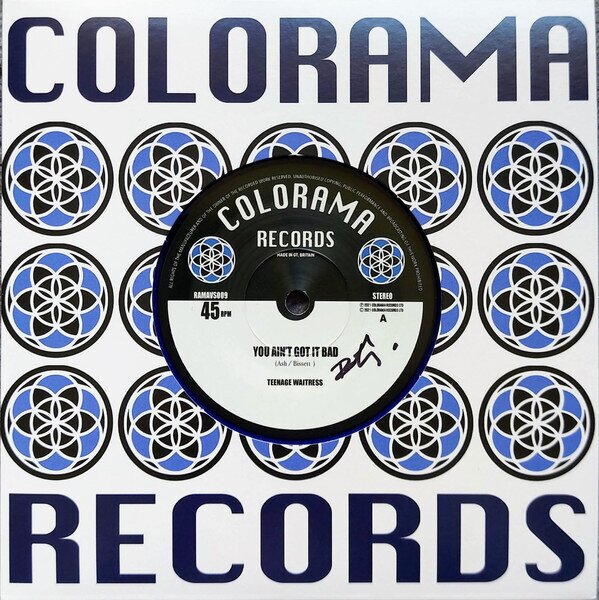 Teenage Waitress - You Ain't Got It Bad 7" Single