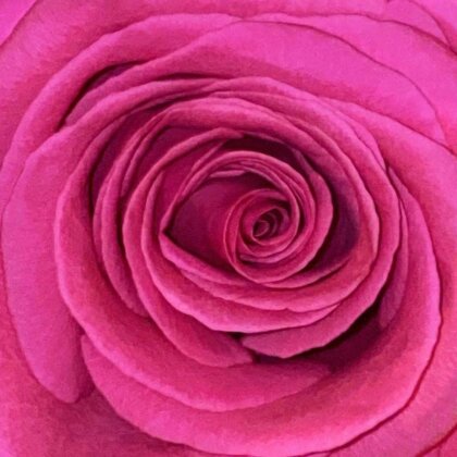 Bilderbuch - Gelb Ist Das Feld (2 LPs)