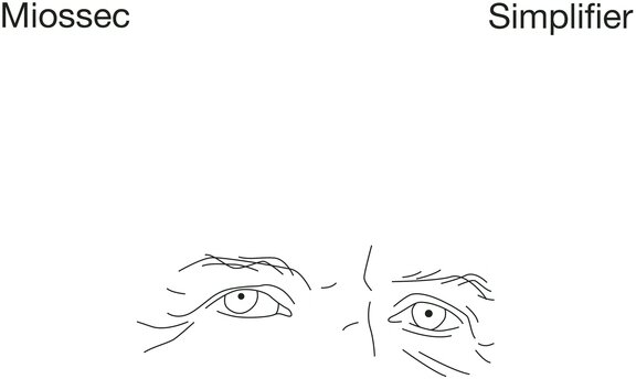 Miossec - Simplifier LP