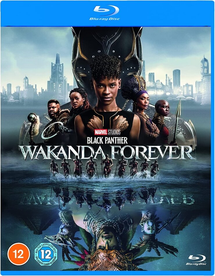 Black Panther: Wakanda Forever - Black Panther 2 (2022)