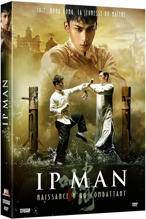 Ip Man - Naissance d'un combattant (2020)