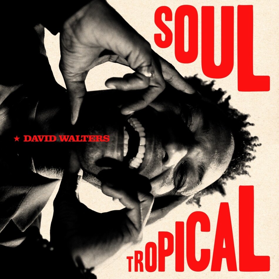 David Walters - Soul Tropical Gatefold, 2 LP