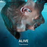 Noah Schaub - Alive