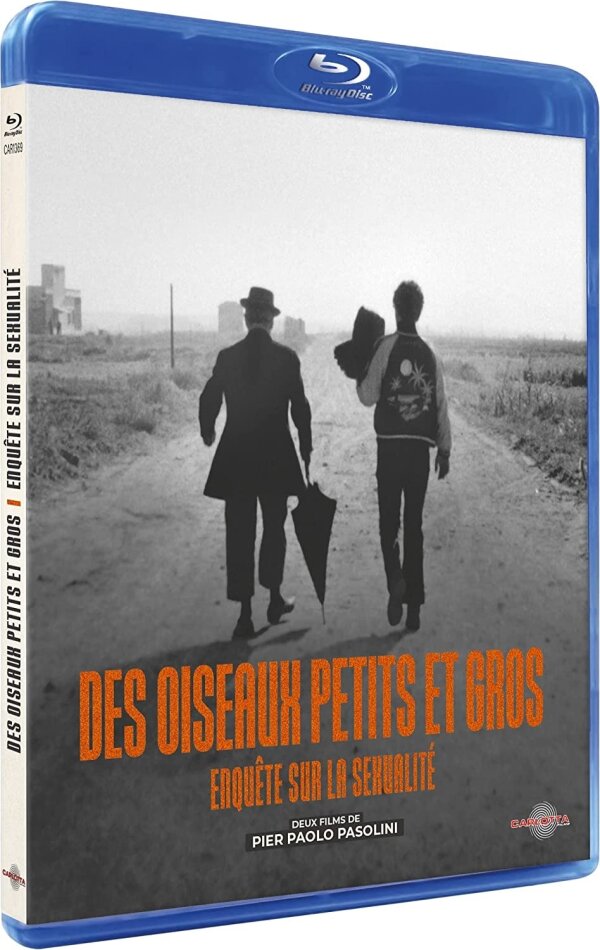 Des oiseaux petits et gros / Enquête sur la sexualité