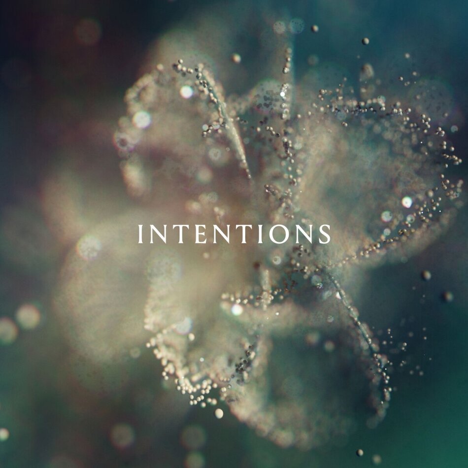 ANNA - Intentions 2 LPs