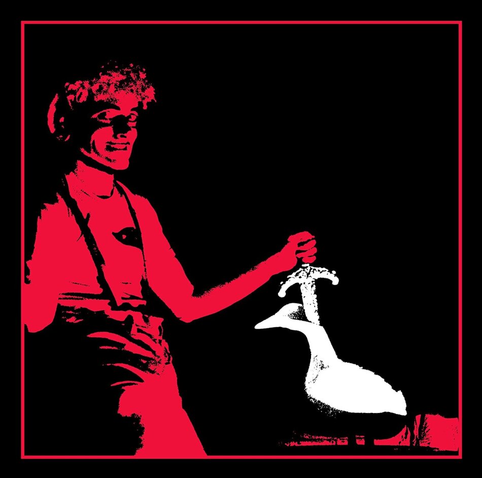 Residents - Duck Stab / Buster And Glen 2 LPs