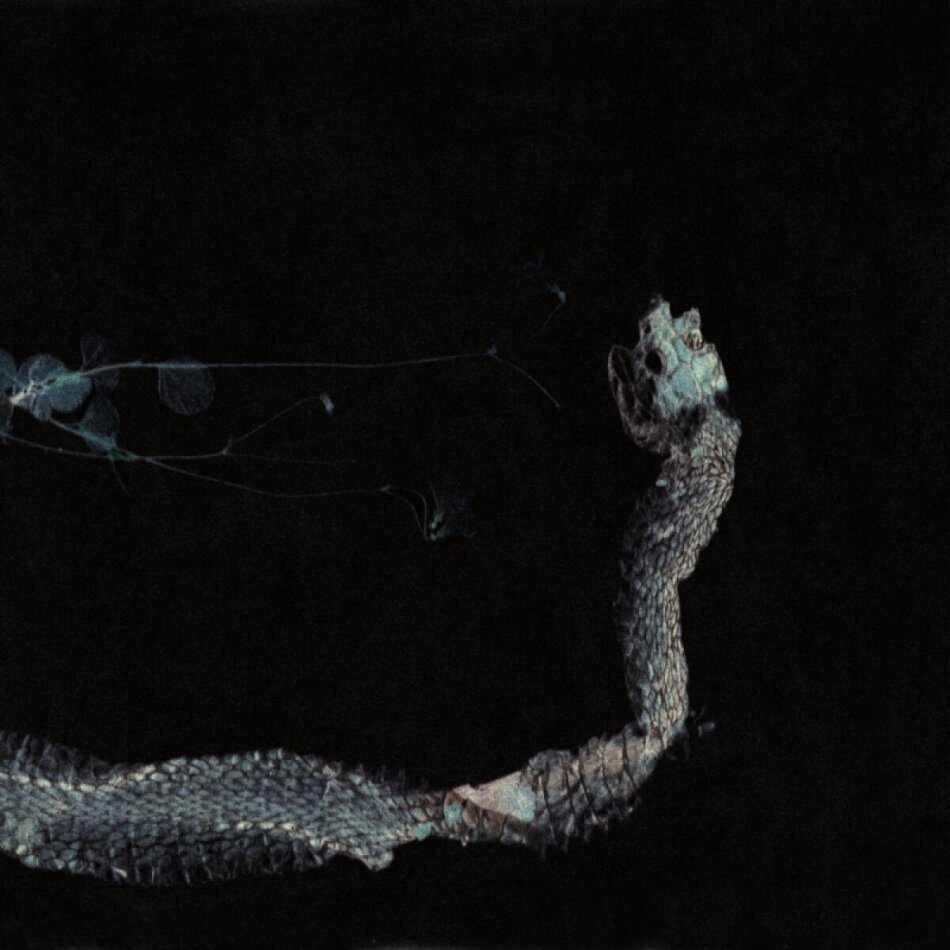 Tenhi - Maaäet 2023 Reissue