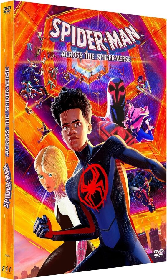 Spider-Man: Across the Spider-Verse (2023)