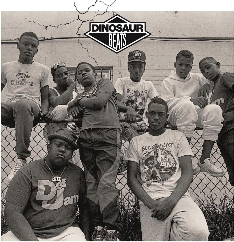 Dinosaur Beats 2 LPs