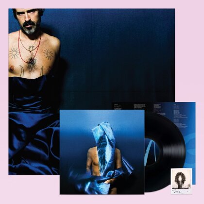 Devendra Banhart - Flying Wig (LP)