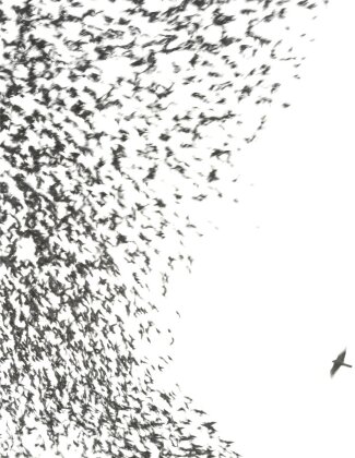 Wilco - Sky Blue Sky (2023 Reissue, Nonesuch, 2 LPs)