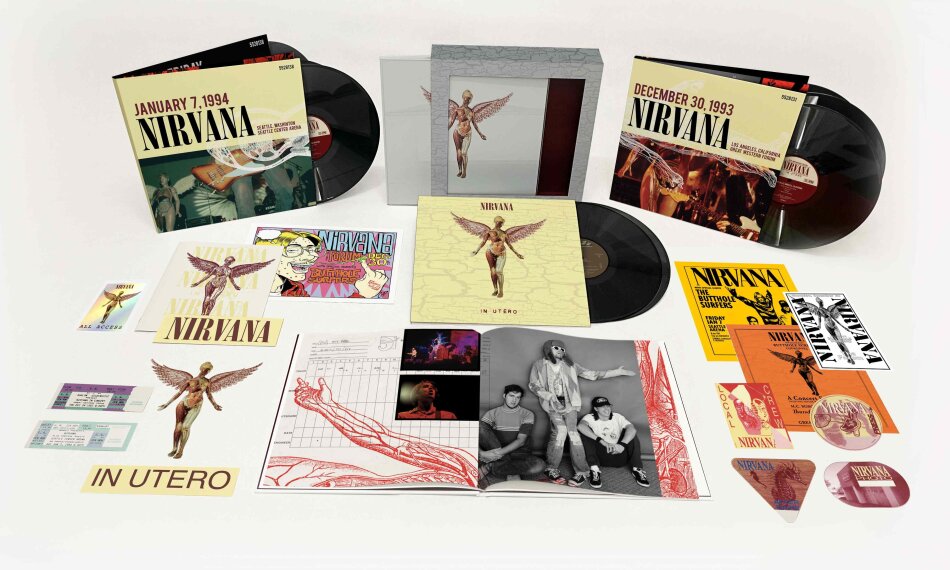 Nirvana - In Utero 2023 Reissue, Superdeluxe, Boxset, 8 LPs
