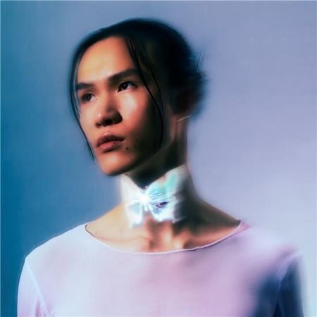 Nuit Incolore - La Loi Du Papillon