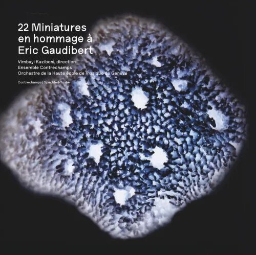 Vimbayi Kaziboni, Ensemble Contrechamps & Orchestre de la Haute École de Musique de Genève - 22 Miniatures en Hommage à Eric Gaudibert LP