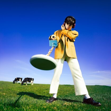 Declan McKenna - What Happened To The Beach? (LP)