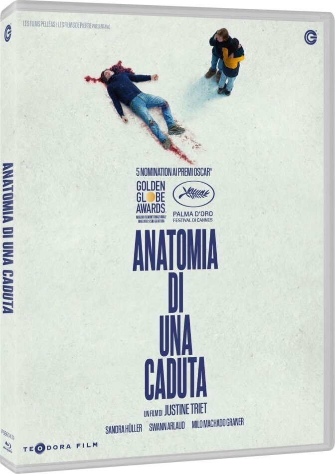 Anatomia di una caduta (2023)