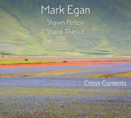 Mark Egan, Shawn Pelton & Shane Theriot - Cross Currents