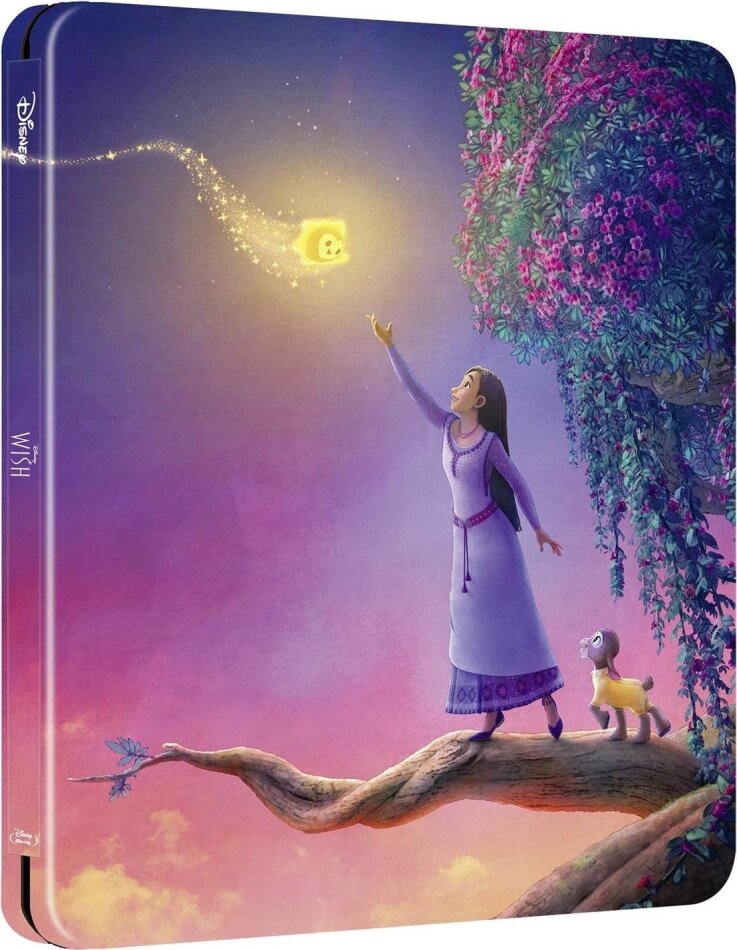 Wish (2023) Limited Edition, Steelbook