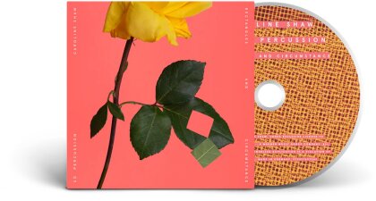 So Percussion & Caroline Shaw (*1982) - Rectangles and Circumstance