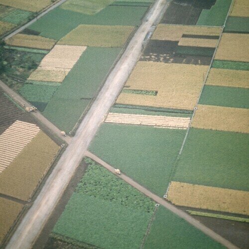 Celer - Perfectly Beneath Us 2024 Reissue, Field Records, Version Remasterisée, LP